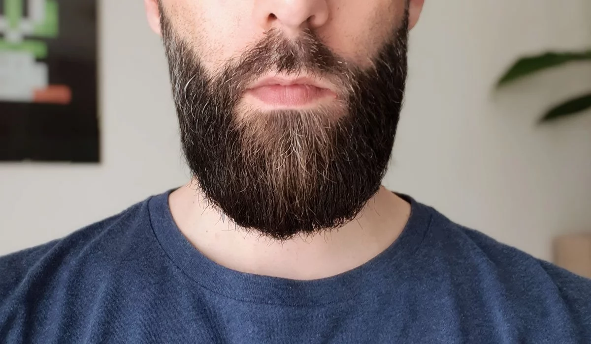 La barbe de bellebarbouze