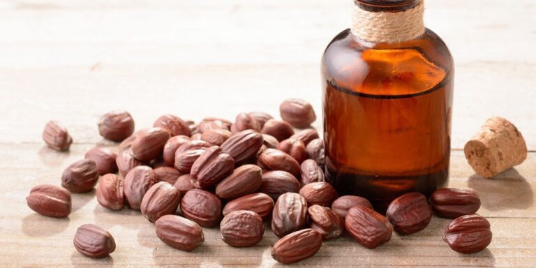 Quels sont les bienfaits de l’huile de Jojoba sur la barbe ? bienfaits huile de jojoba barbe