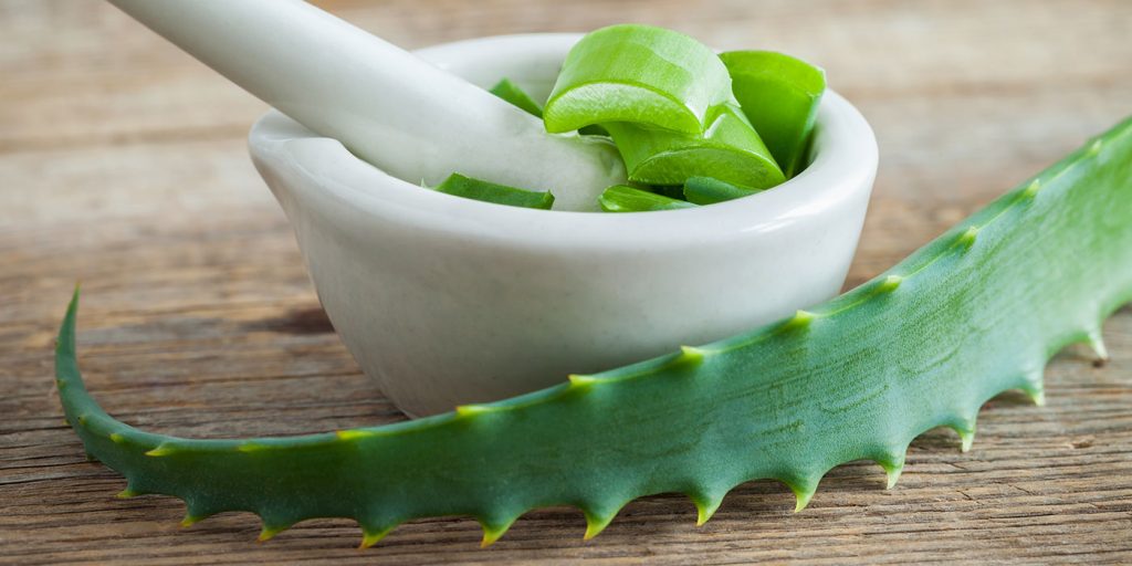 aloe vera